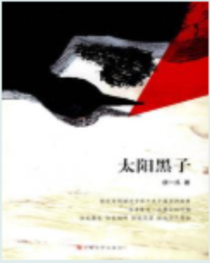太阳黑子