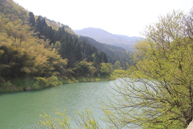 庐山电站大坝.jpeg