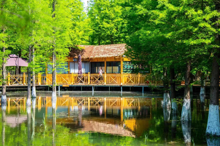 洪泽湖湿地景区