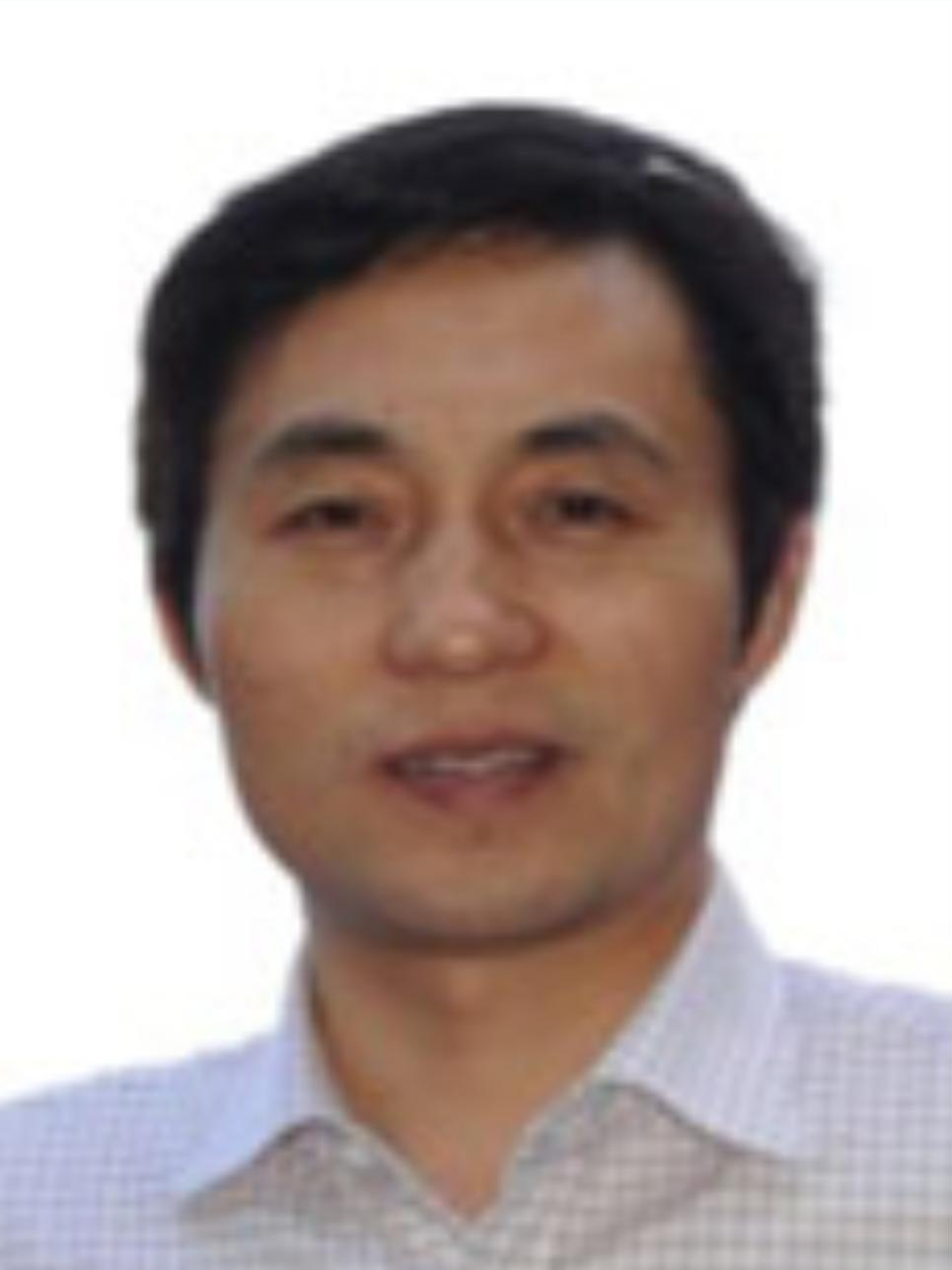 杜书伟