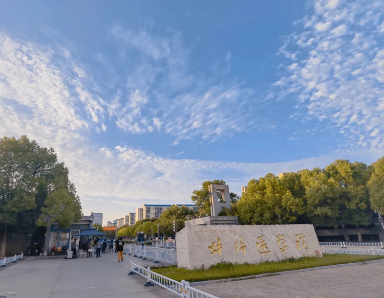 蚌埠医学院