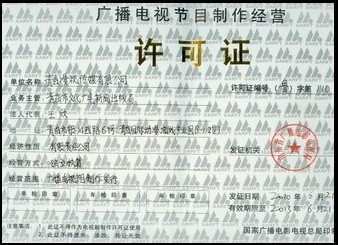 青岛漫视传媒有限公司