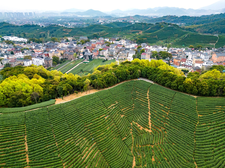 杭州市