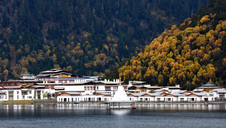 西藏自治区