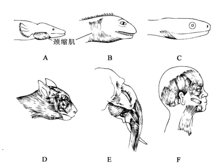 粘贴图片1-1694526843745.png