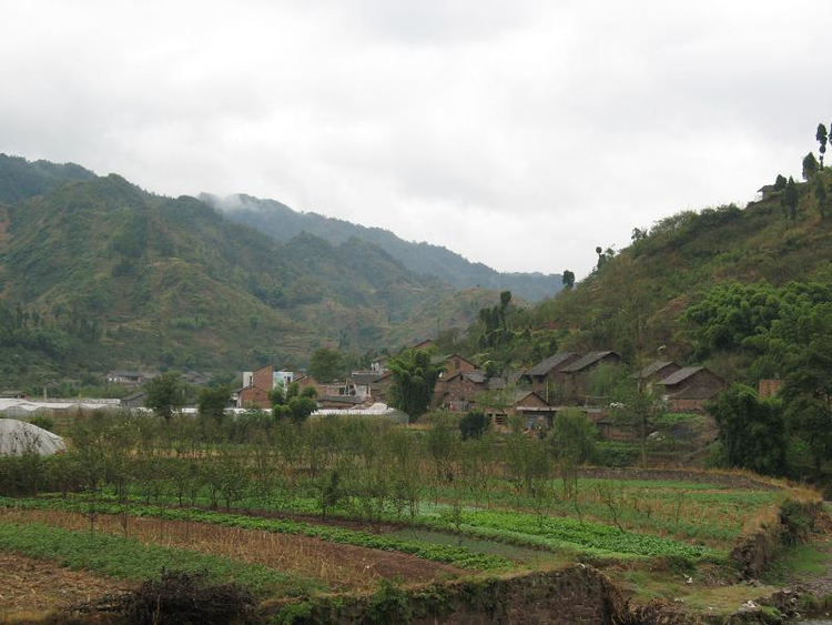 大河村