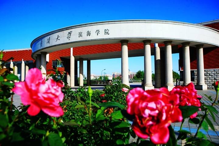 南开大学滨海学院