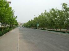 河南信息工程专修学校