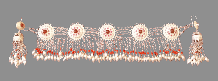 新疆维吾尔自治区
