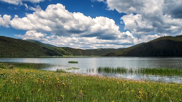 迪庆藏族自治州