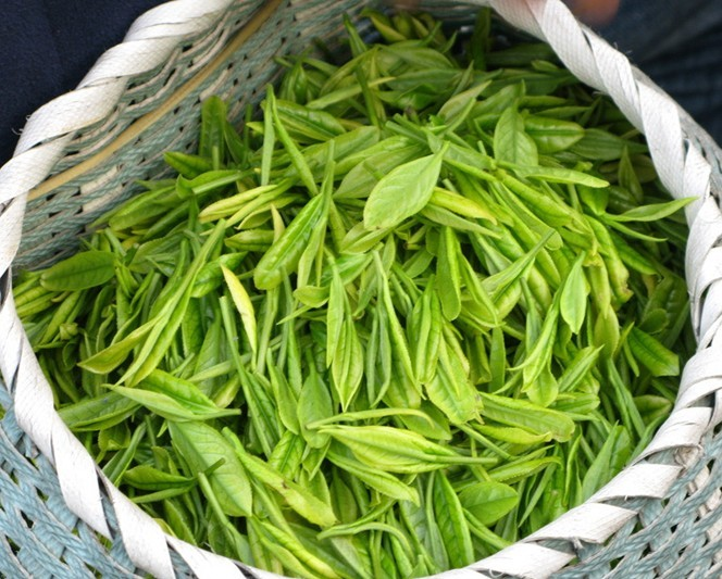 茶叶