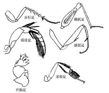转节
