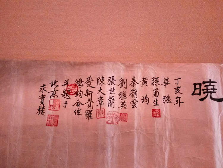 毕强