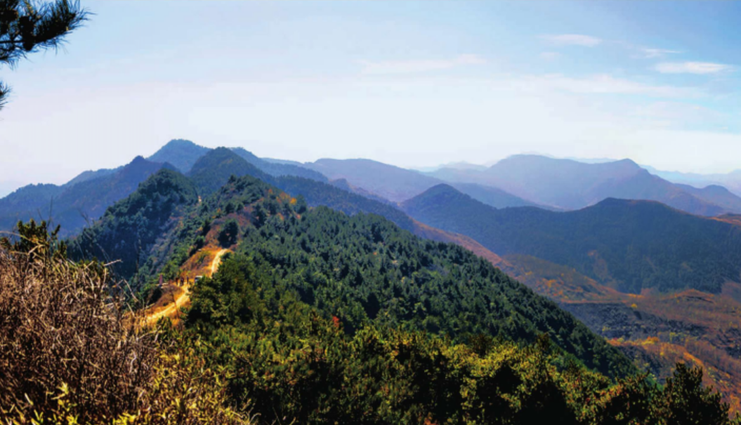 发鸠山