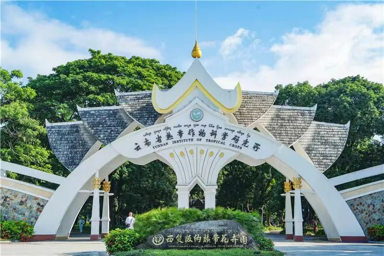 景洪市