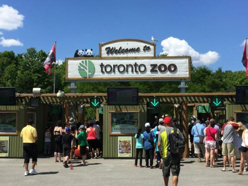 多伦多动物园