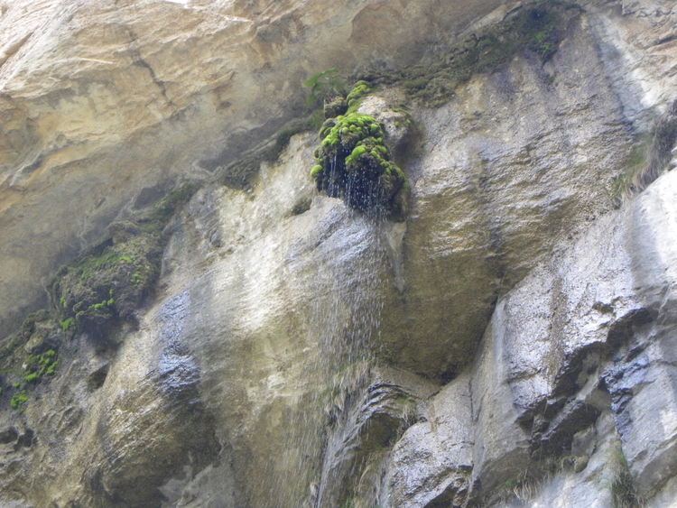万仙山