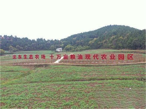 简阳市