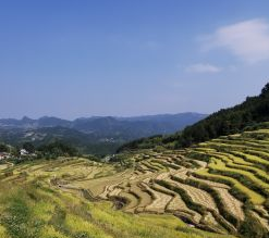 蕲春县