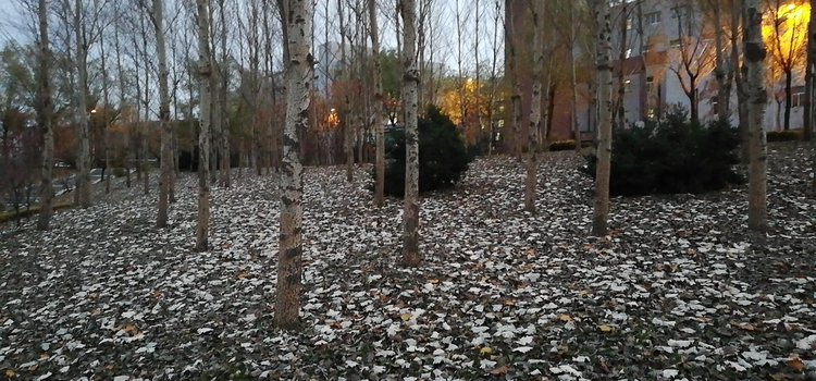 北华大学口腔医学院