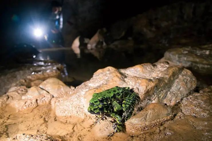 务川仡佬族苗族自治县