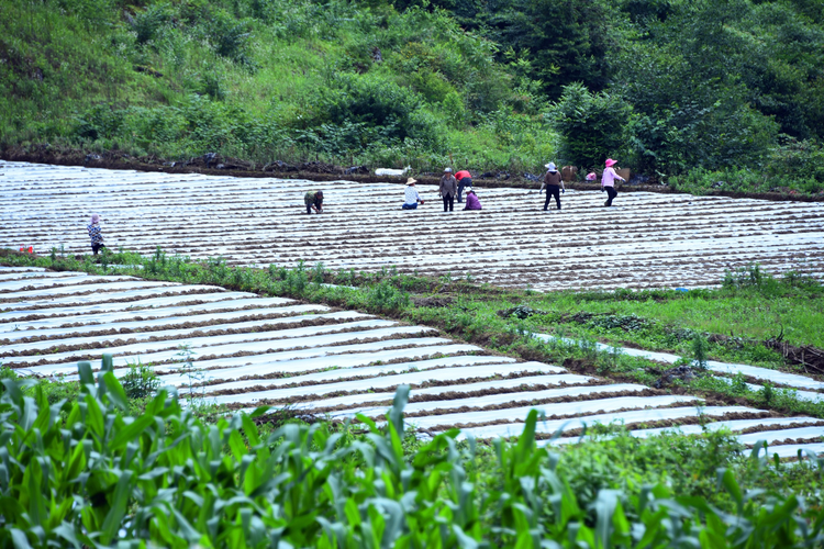 恩施土家族苗族自治州