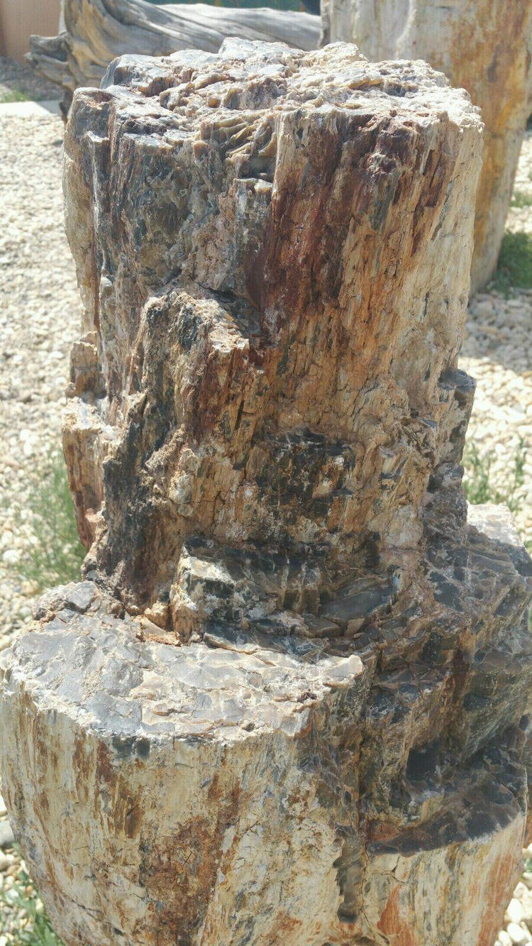 化石
