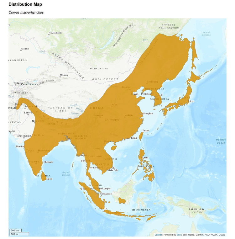 大罪乌鸦各地分布图.png