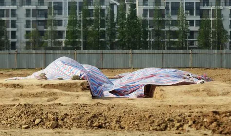 360截图20230802122833899.jpeg