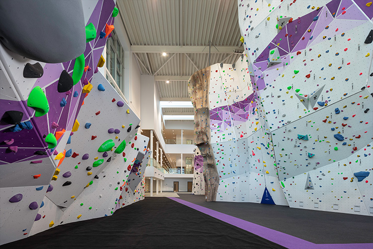 climbing.jpeg