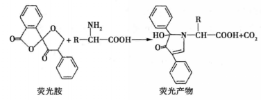 氨基酸