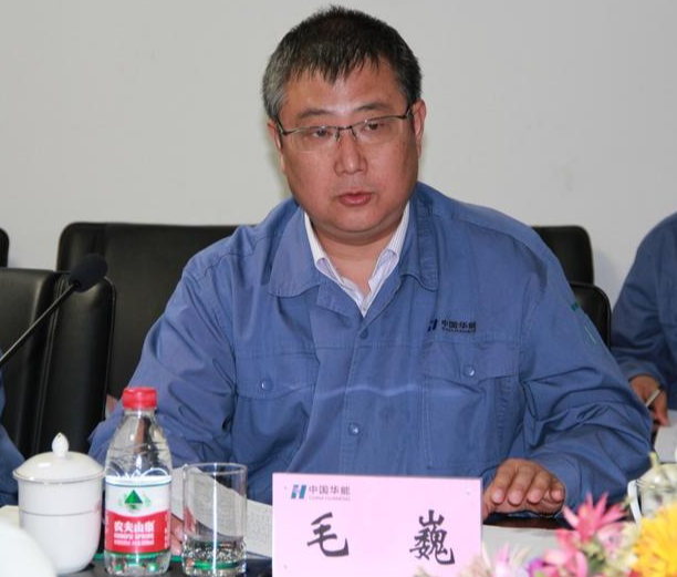 华能(天津)煤气化发电有限公司