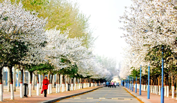 濮阳职业技术学院