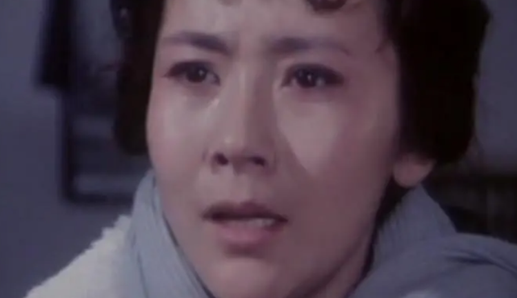 但愿人长久