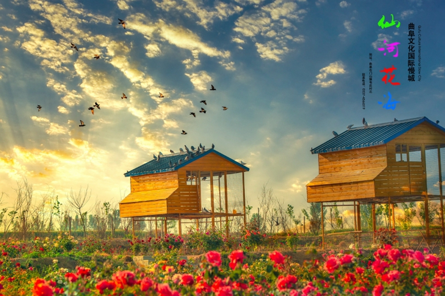 仙河花海生态乐园景区