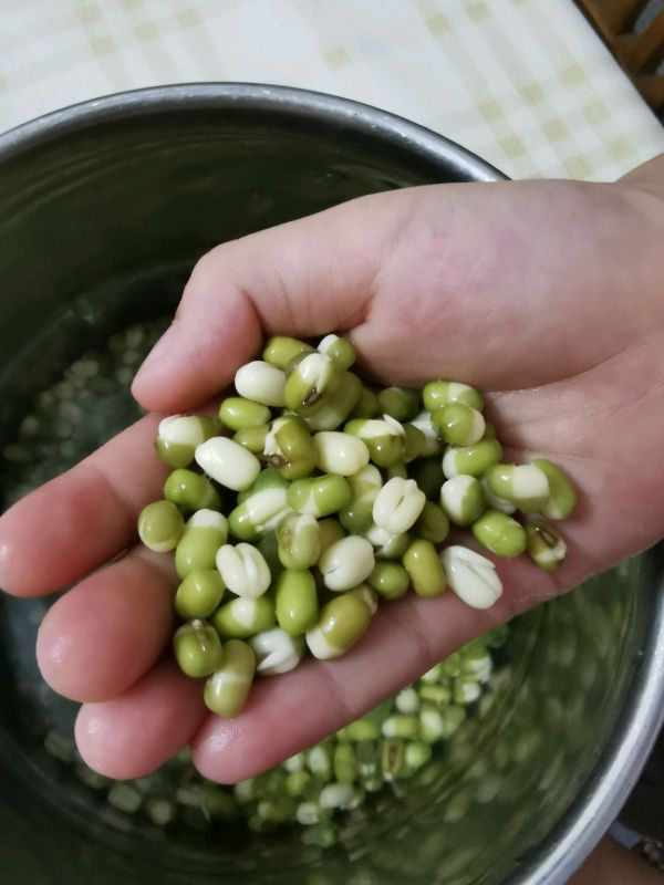 发豆芽