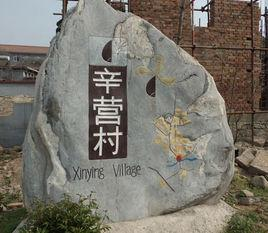 辛营村