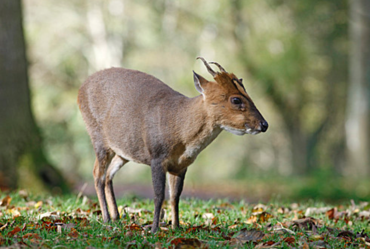 螢幕截圖 2023-11-01 19.56.png