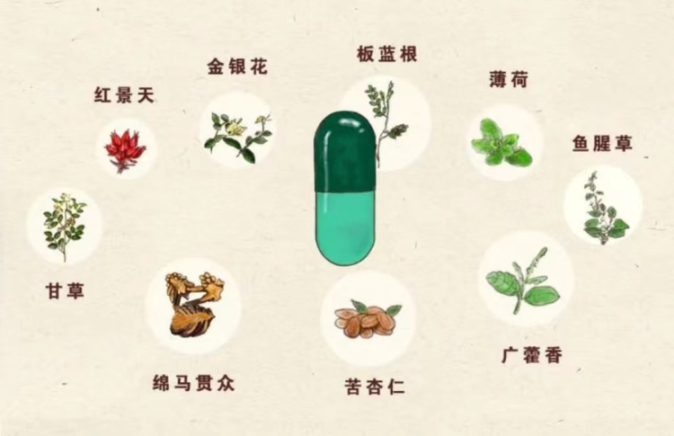 连花清瘟胶囊