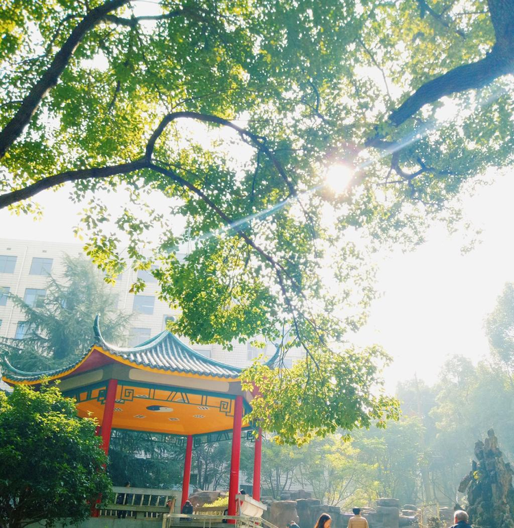 湖南中医药大学湘杏学院4.jpeg