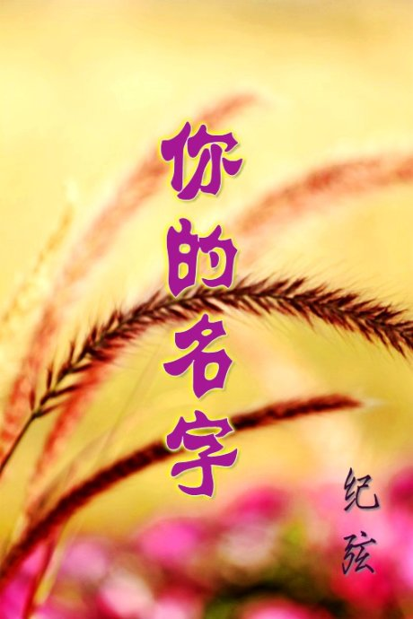 你的名字