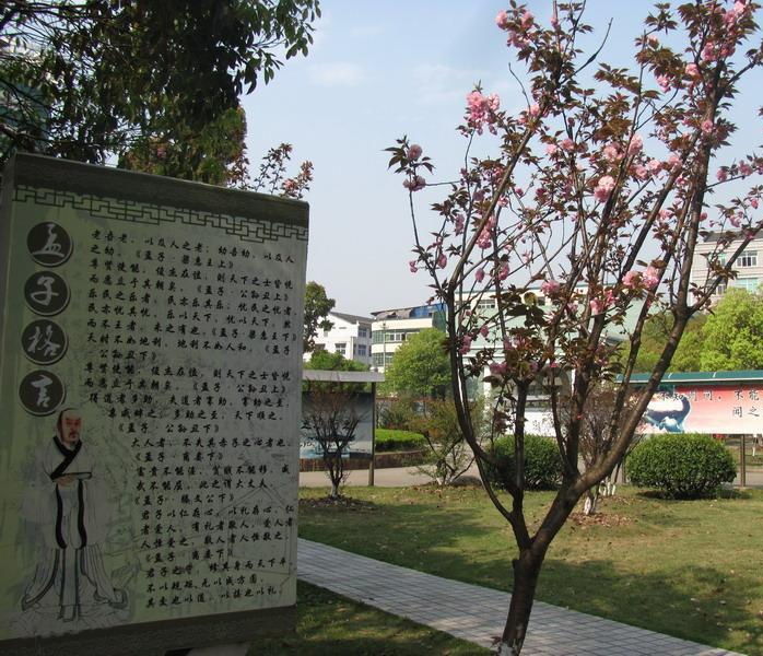 温岭市泽国镇第四中学校园风景