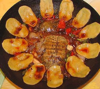老鳖靠河沿.jpeg
