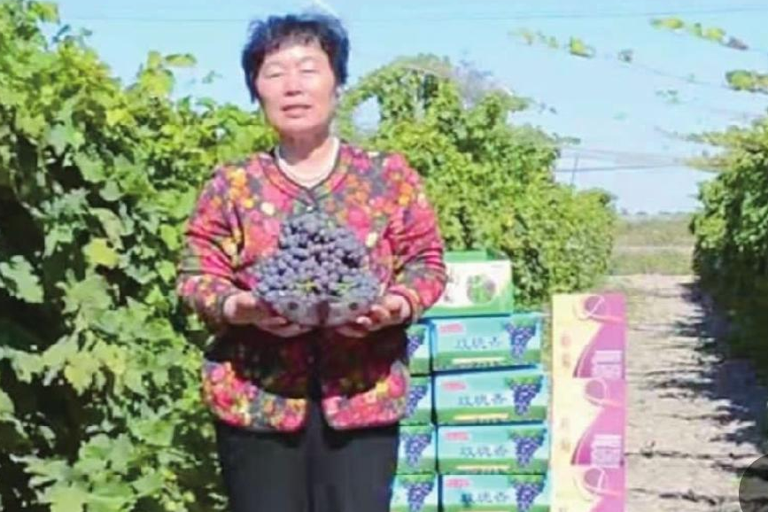 杨宝玲