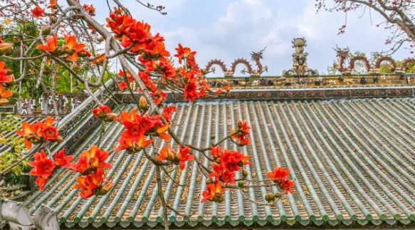 黄埔区
