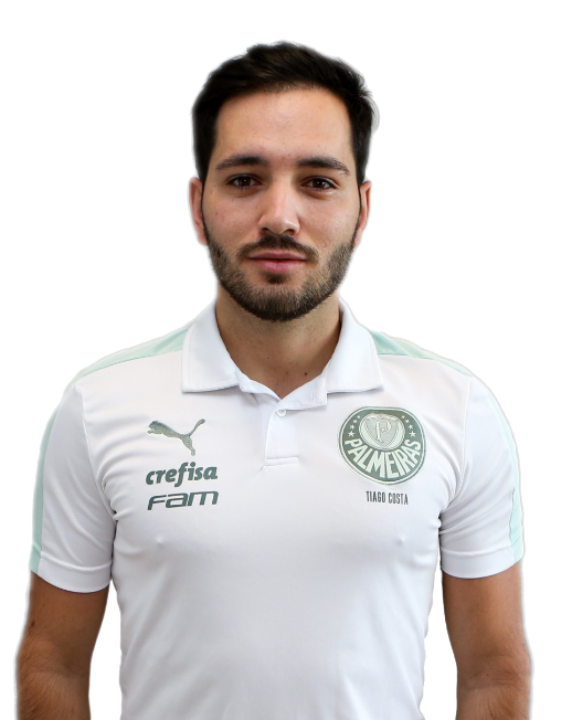 帕尔梅拉斯足球俱乐部