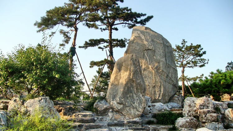 奥林匹克森林公园