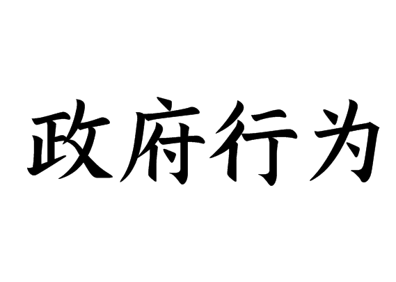 政府行为