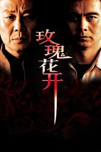 玫瑰花开