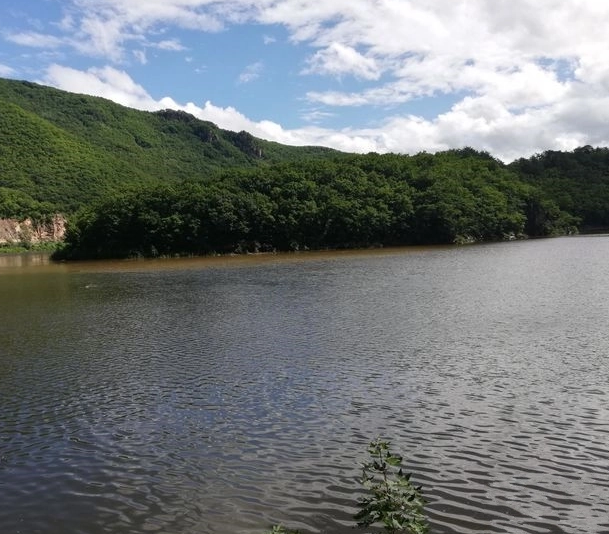 三道湾镇